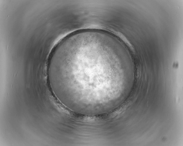 X0000094061364200711021435