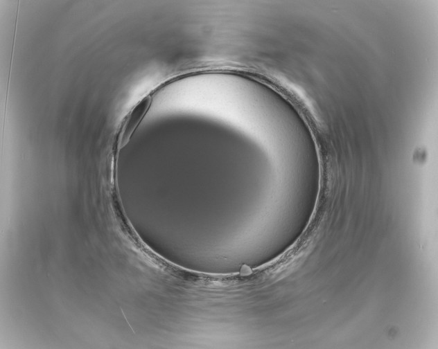 X0000094061365200711021435