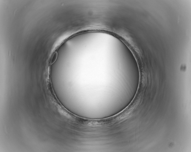 X0000094061366200711021435