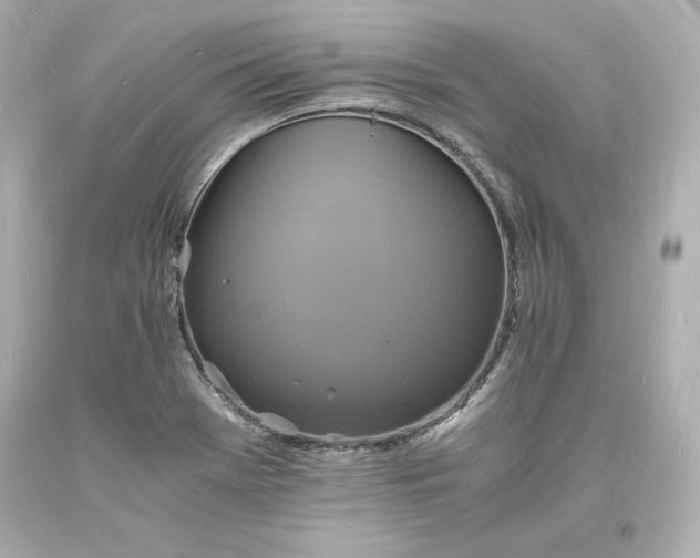 X0000094061369200711021435
