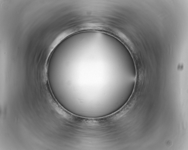 X0000094061370200711021435