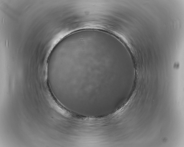X0000094061371200711021435
