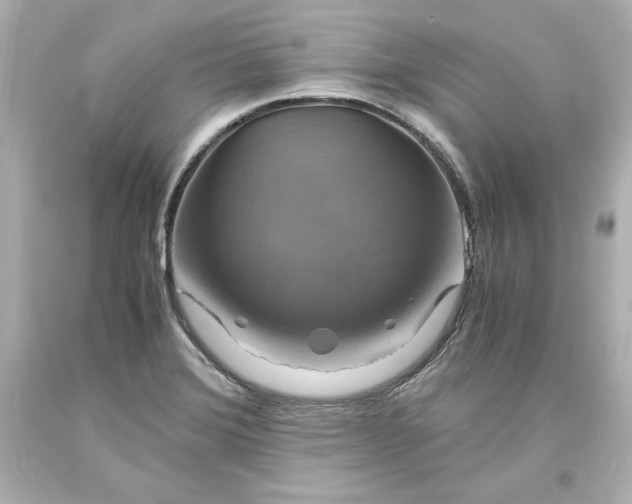 X0000094061372200711021435