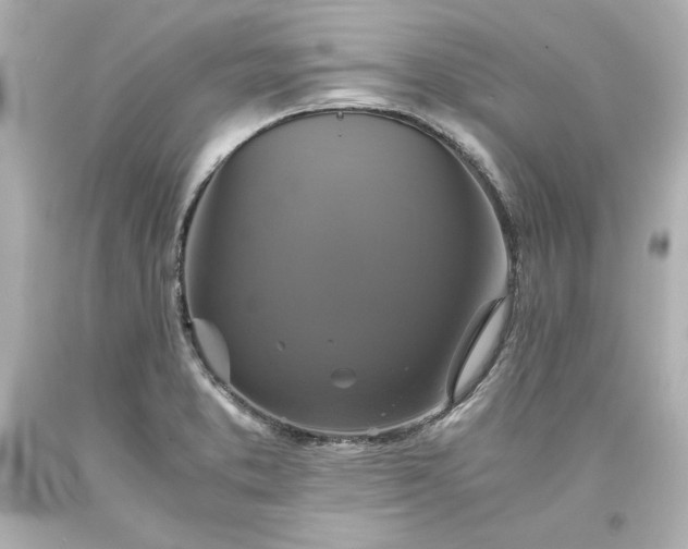 X0000094061373200711021435