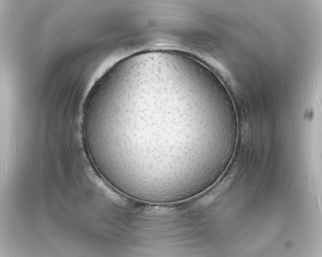 X0000094061374200711021435