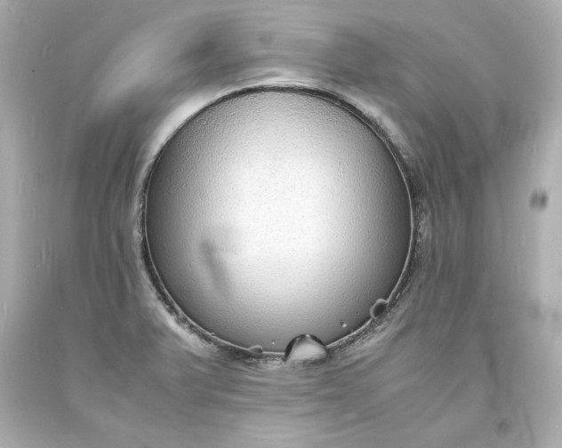 X0000094061375200711021435