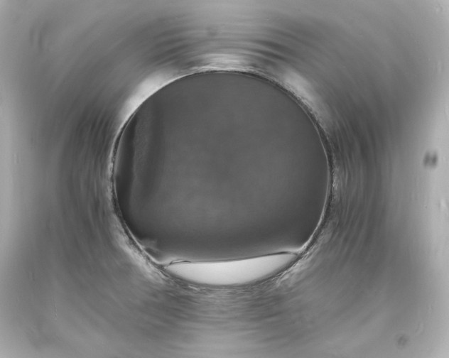 X0000094061378200711021435