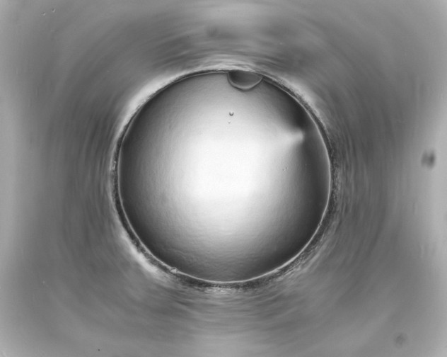 X0000094061379200711021435