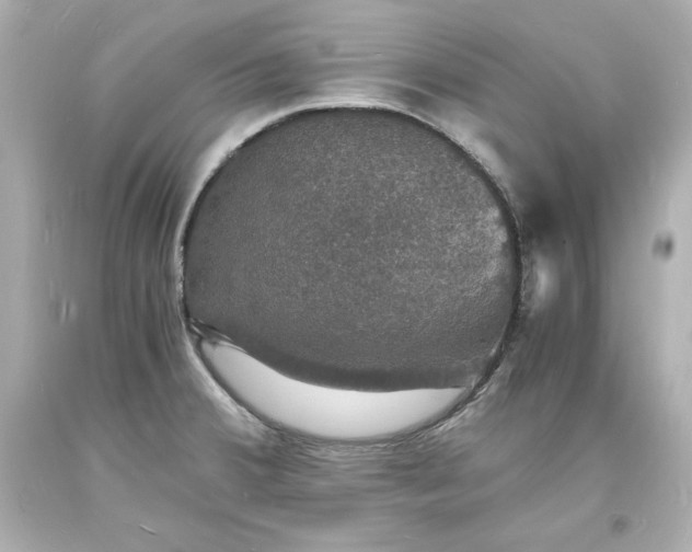 X0000094061380200711021435