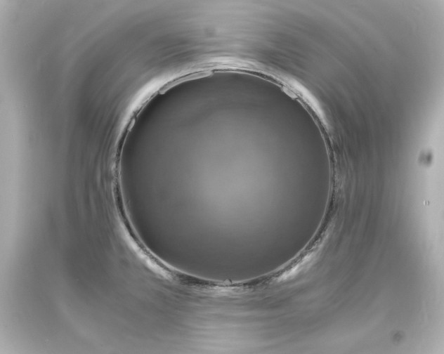 X0000094061381200711021435