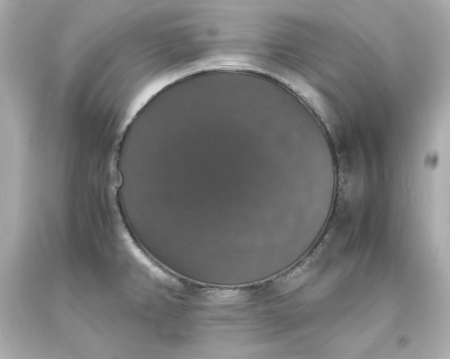 X0000094061382200711021435