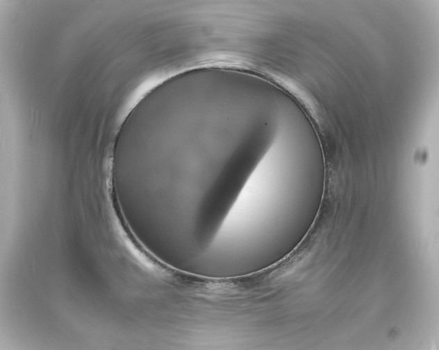X0000094061383200711021435