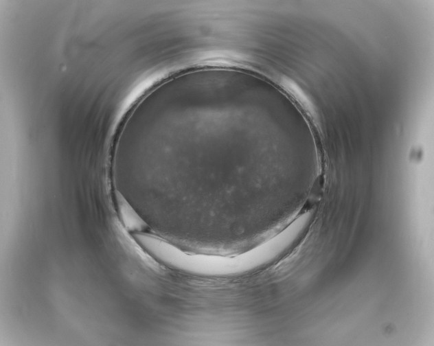 X0000094061384200711021435