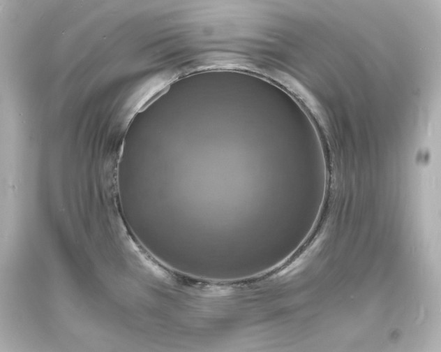 X0000094061385200711021435