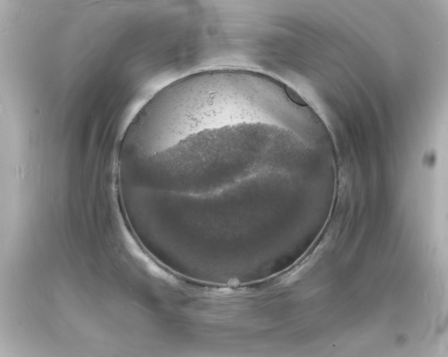 X0000094061390200711021435