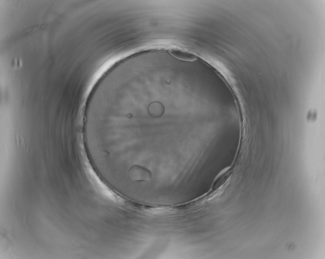 X0000094061392200711021435