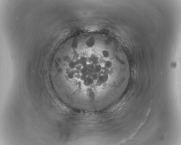 X0000094061393200711021434
