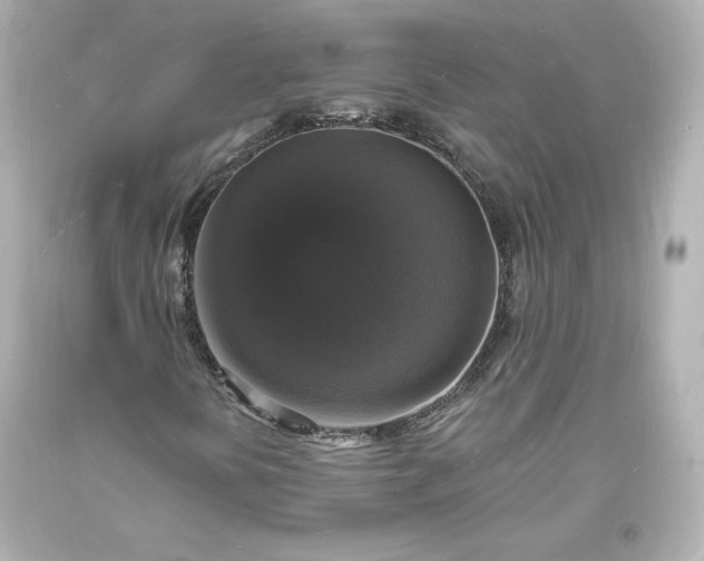 X0000094061394200711021434