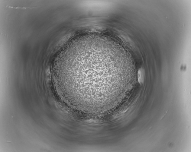 X0000094061395200711021434