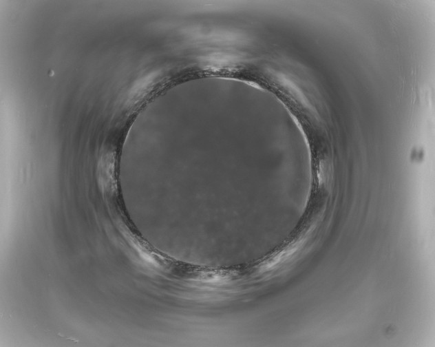 X0000094061396200711021434