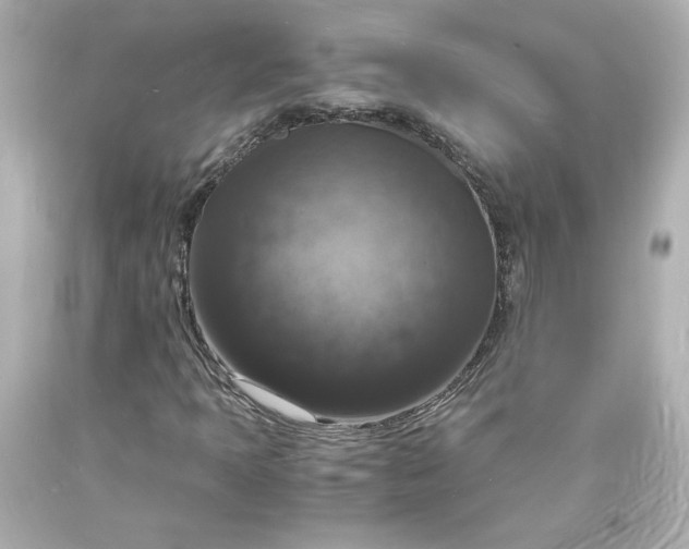 X0000094061397200711021434