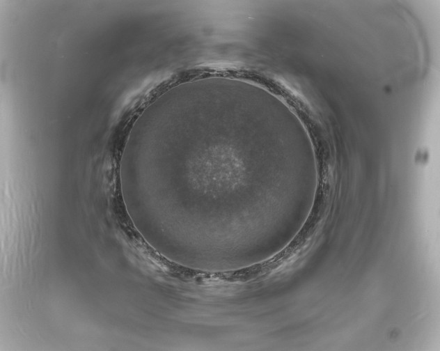 X0000094061398200711021434
