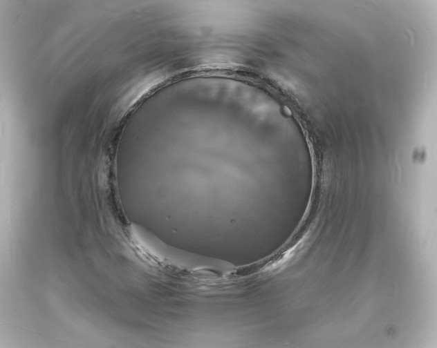 X0000094061401200711021434