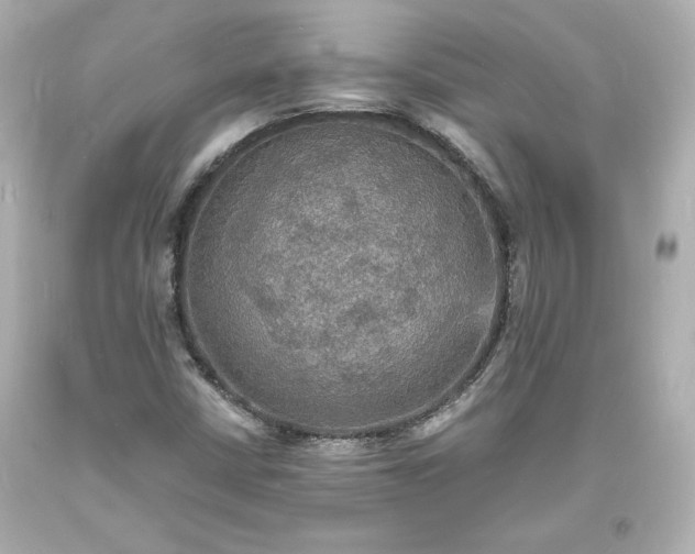 X0000094061402200711021434