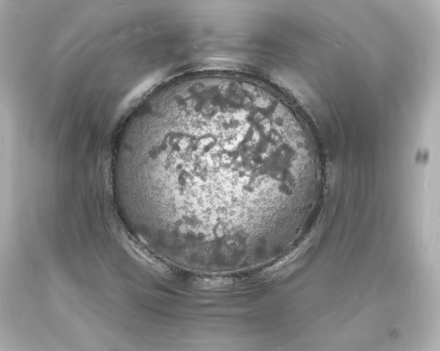 X0000094061403200711021434