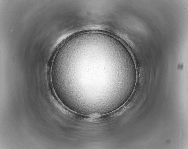 X0000094061404200711021434