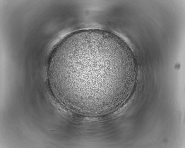 X0000094061407200711021434