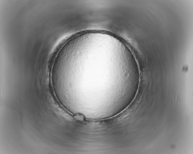 X0000094061408200711021434