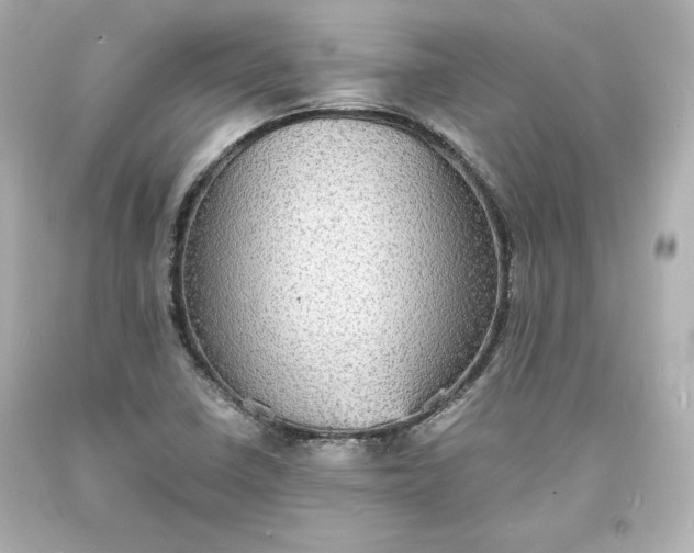 X0000094061410200711021434