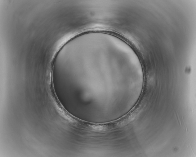 X0000094061413200711021434