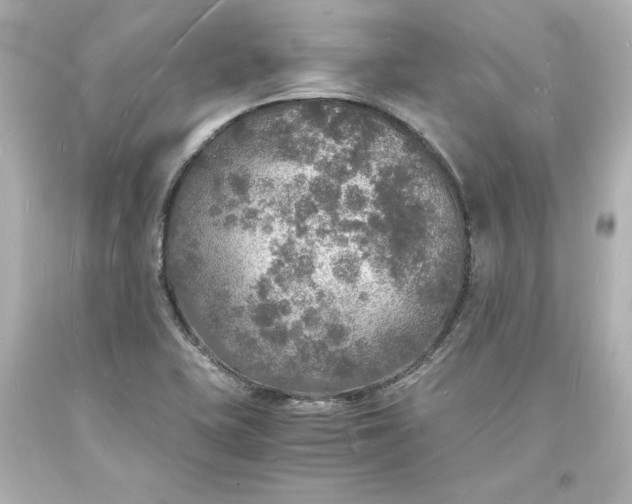 X0000094061415200711021434