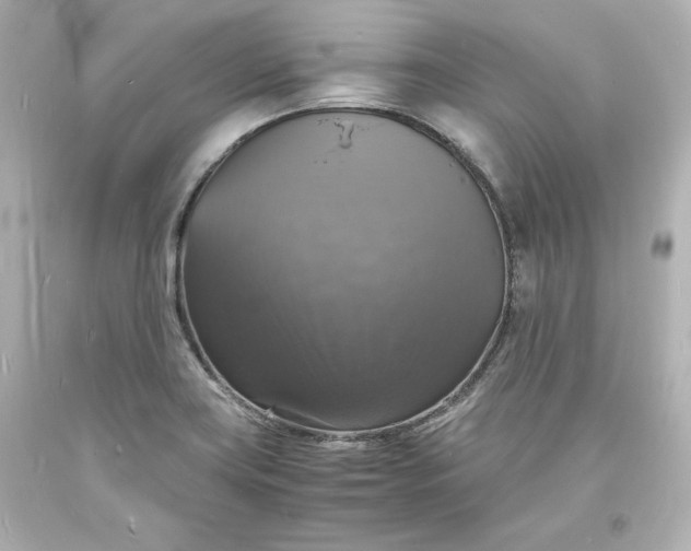 X0000094061419200711021435