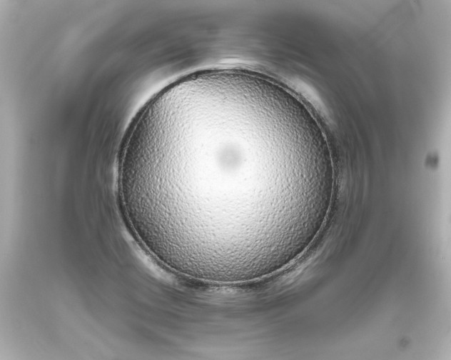X0000094061420200711021435