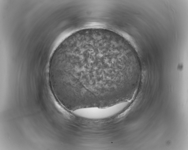 X0000094061421200711021435