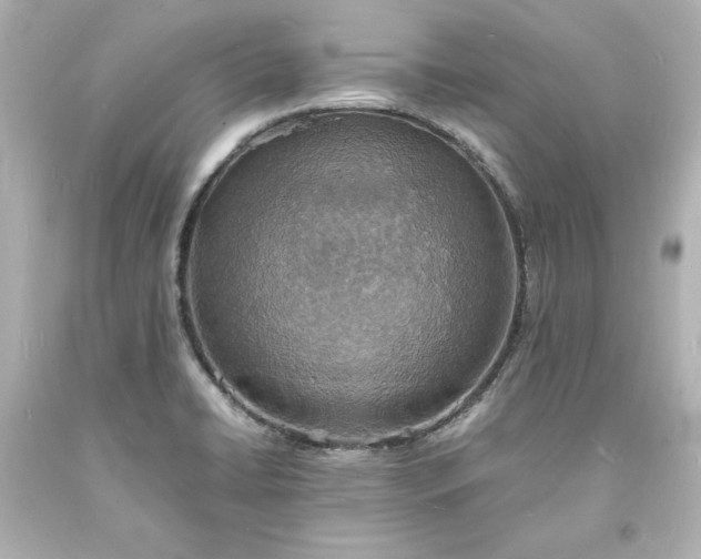 X0000094061422200711021435