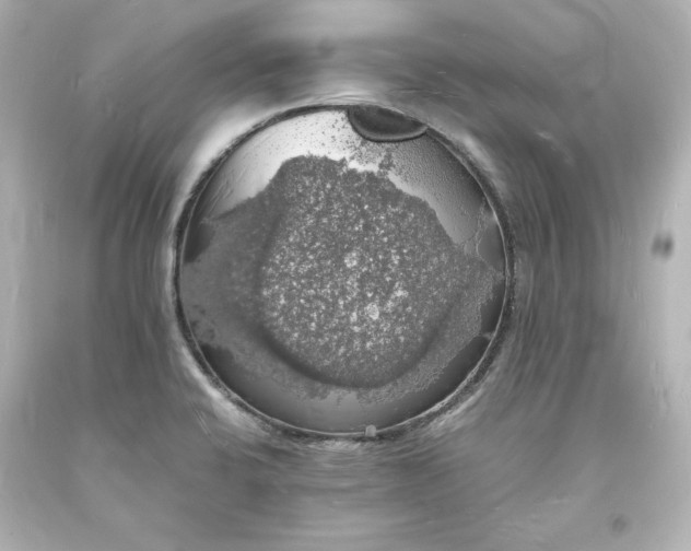 X0000094061424200711021435