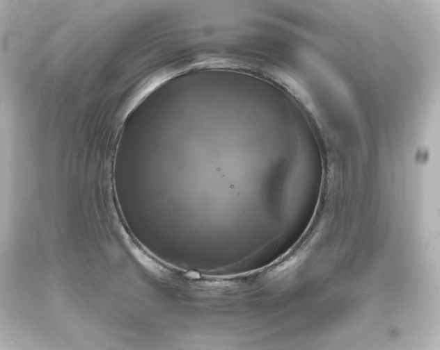 X0000094061425200711021435