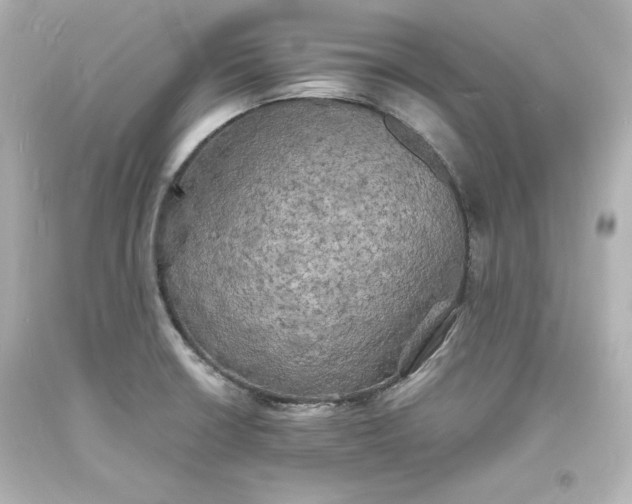 X0000094061426200711021435