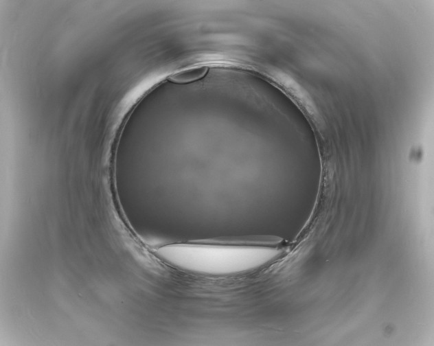 X0000094061427200711021435