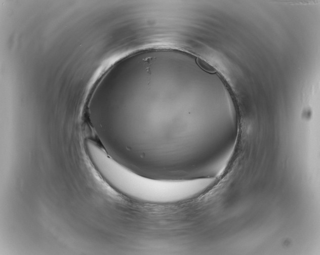 X0000094061428200711021435