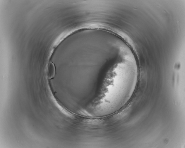 X0000094061429200711021435