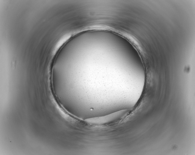 X0000094061430200711021435