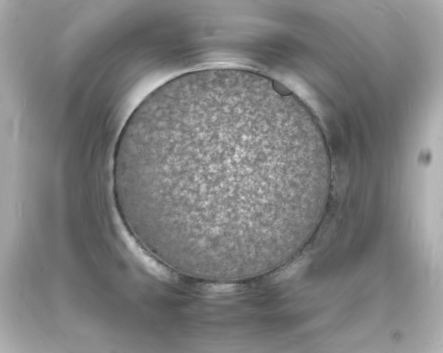X0000094061431200711021435