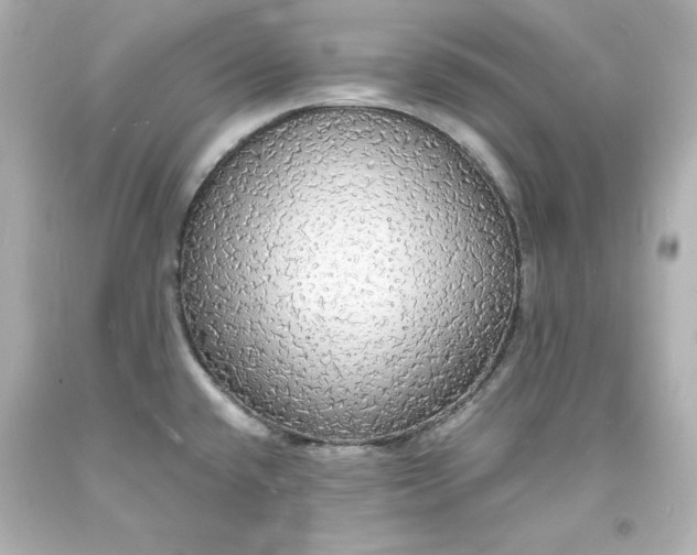 X0000094061432200711021435