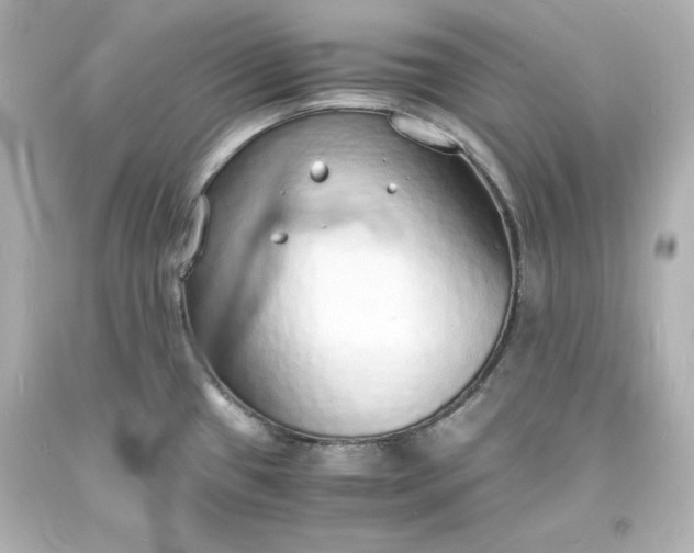 X0000094061433200711021435