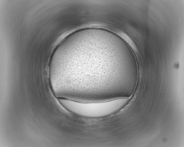 X0000094061436200711021435